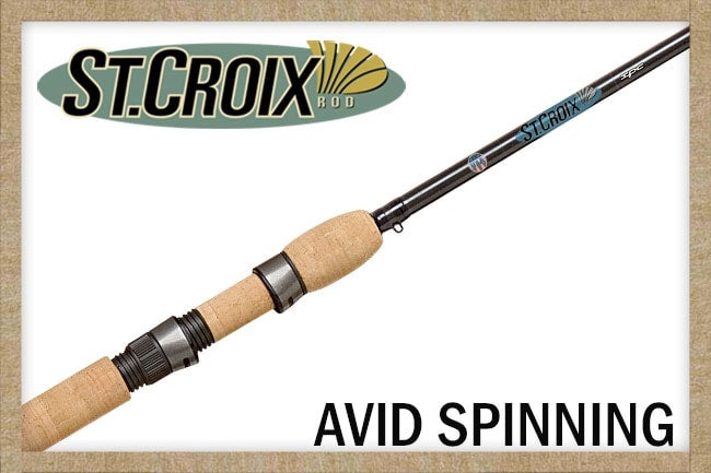 St Croix Avid Casting Series | Shop Co.